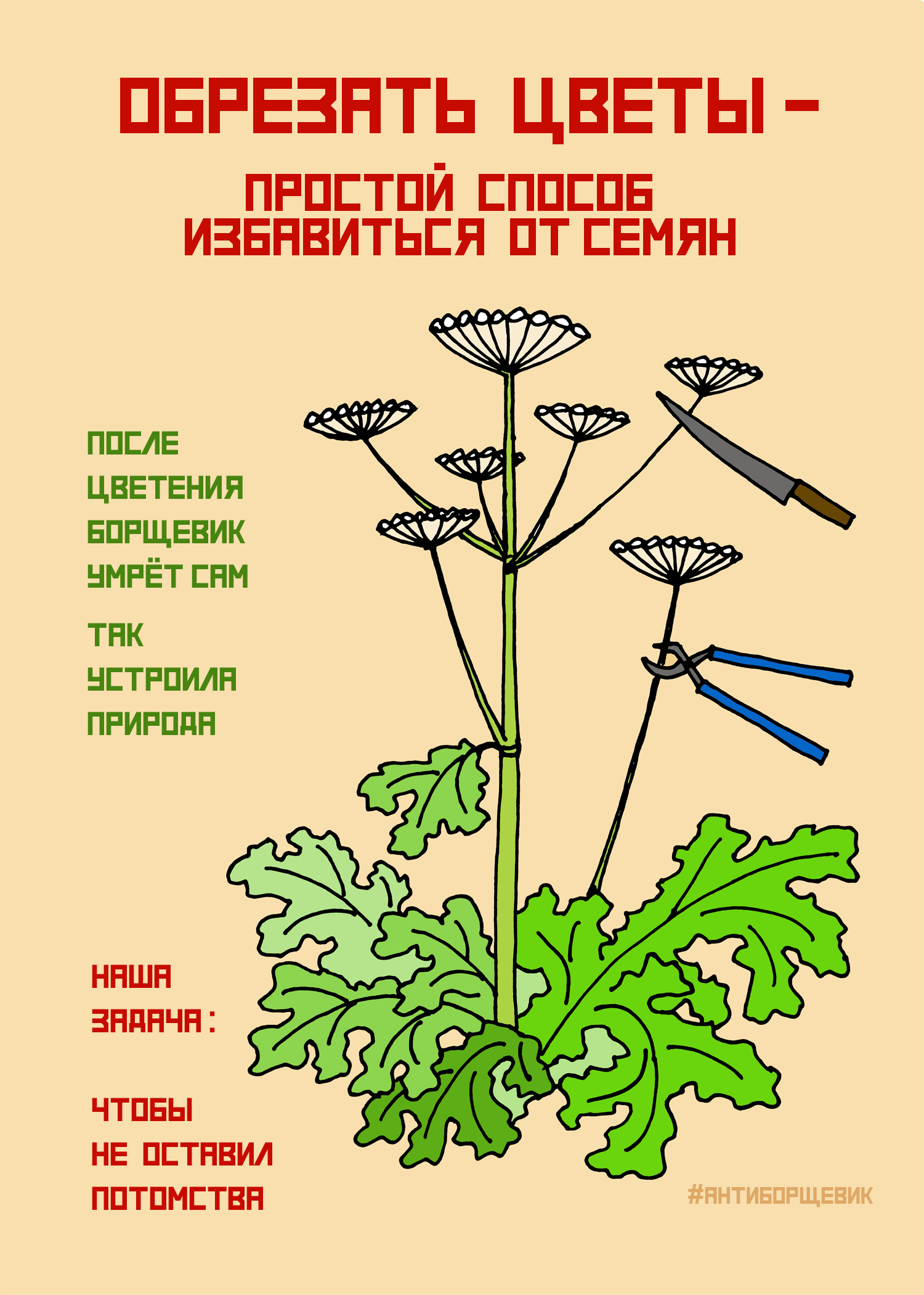 Карта борщевика ленинградской области